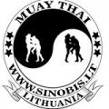 SINOBIS, Vilniaus Muay Thai sporto klubas