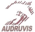 Audruvis, jojimo sporto klubas